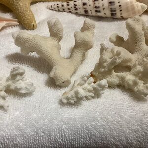 Coral, authentic, vintage very nice